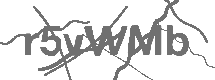 CAPTCHA Image